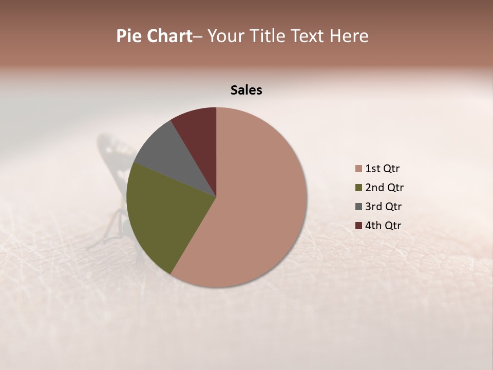 Big Nasty Fly Biting In Human Skin PowerPoint Template
