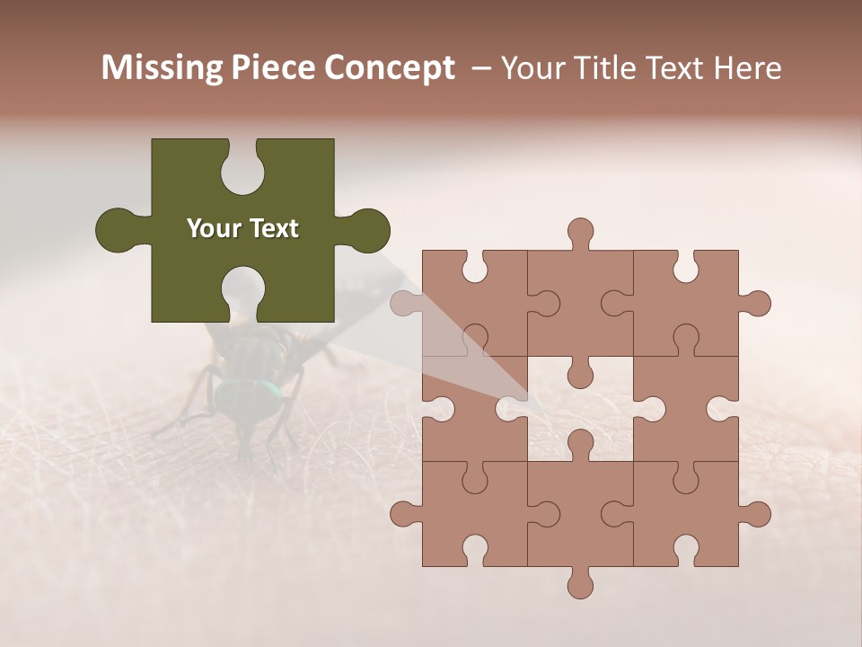 Big Nasty Fly Biting In Human Skin PowerPoint Template