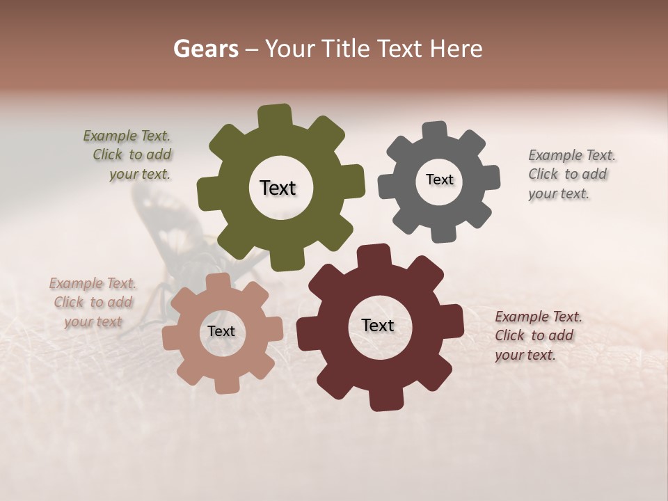 Big Nasty Fly Biting In Human Skin PowerPoint Template