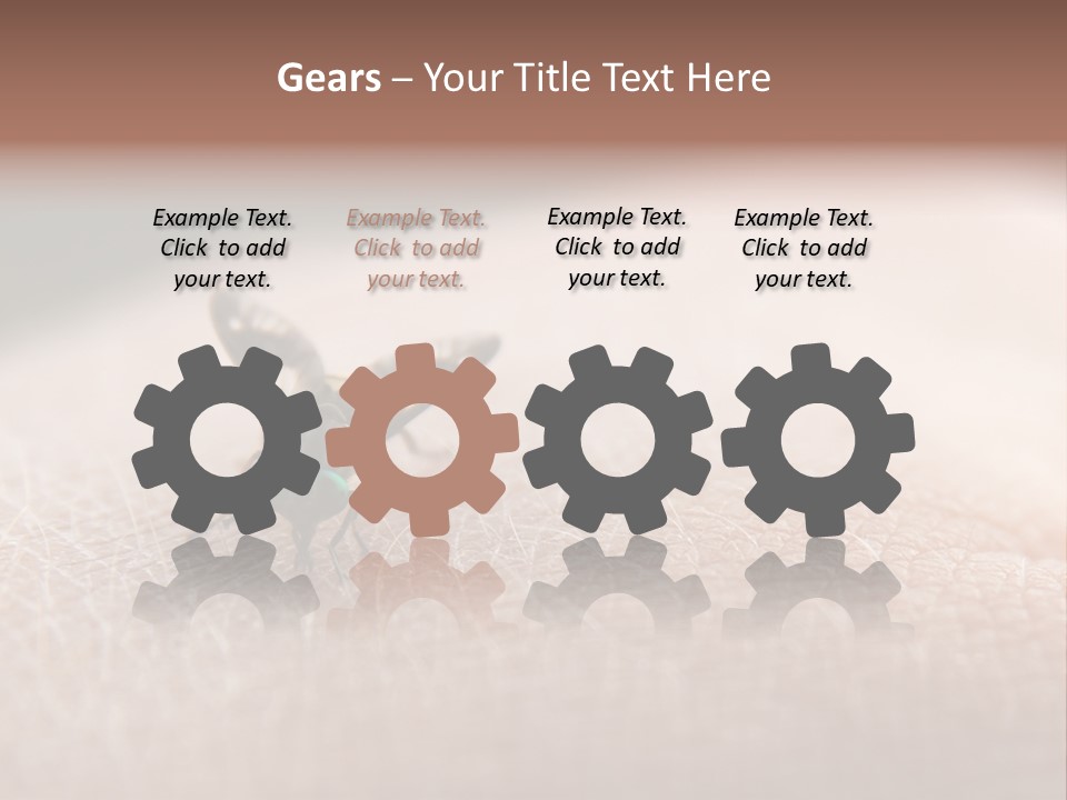 Big Nasty Fly Biting In Human Skin PowerPoint Template