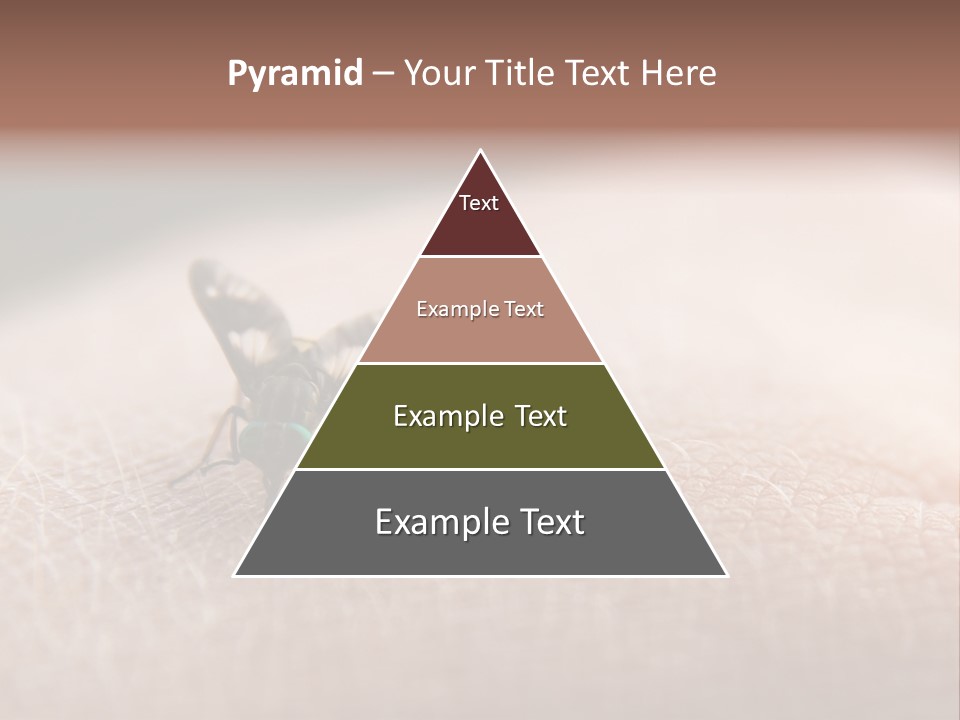 Big Nasty Fly Biting In Human Skin PowerPoint Template
