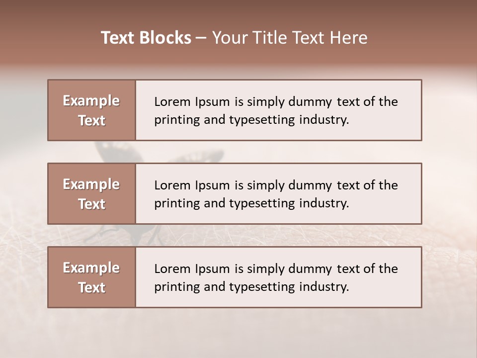 Big Nasty Fly Biting In Human Skin PowerPoint Template
