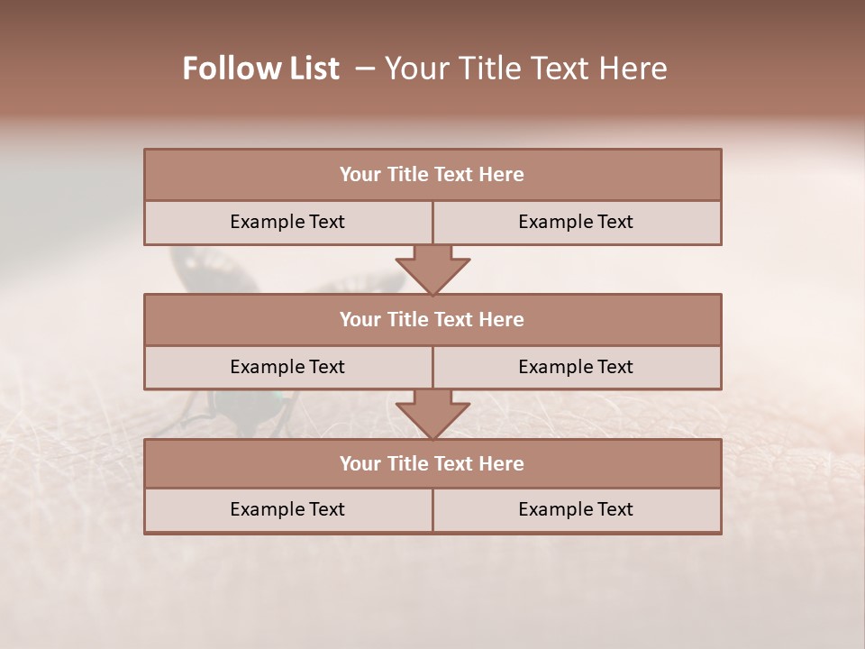 Big Nasty Fly Biting In Human Skin PowerPoint Template