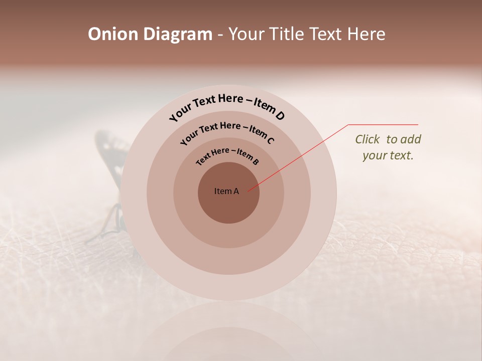 Big Nasty Fly Biting In Human Skin PowerPoint Template
