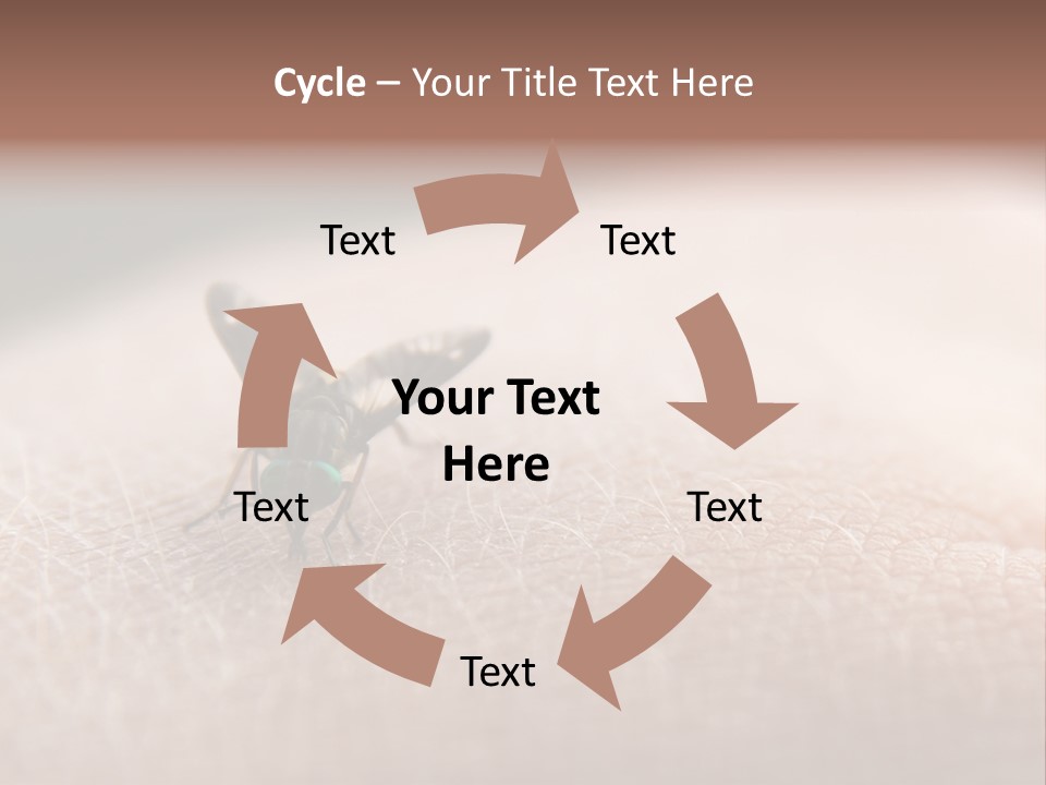 Big Nasty Fly Biting In Human Skin PowerPoint Template