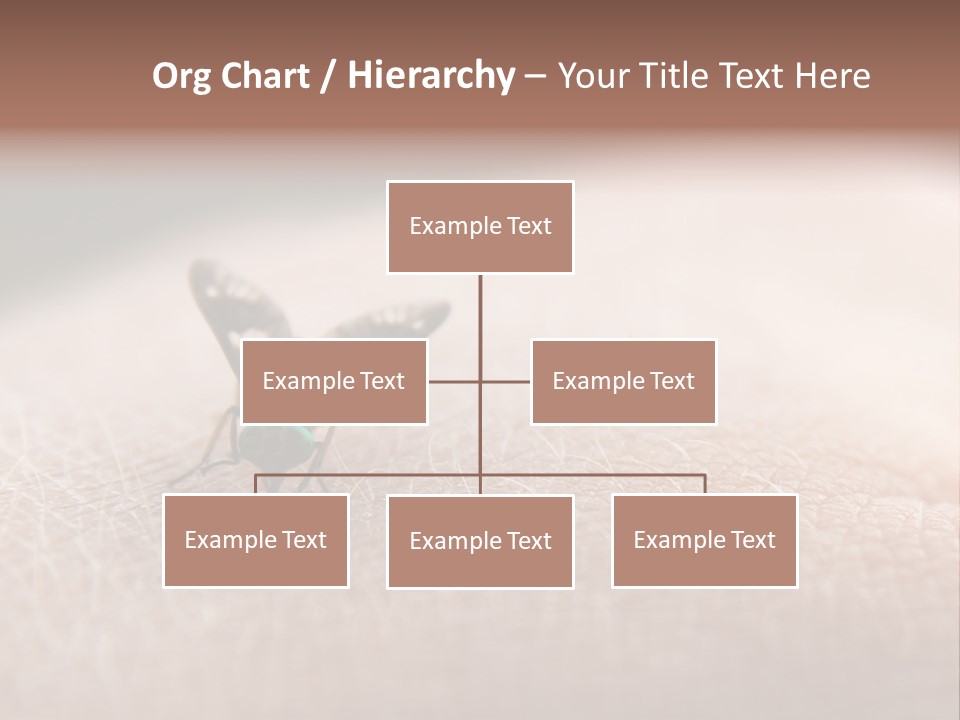 Big Nasty Fly Biting In Human Skin PowerPoint Template