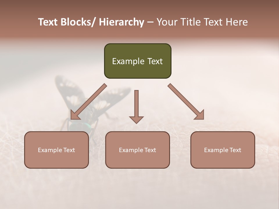 Big Nasty Fly Biting In Human Skin PowerPoint Template
