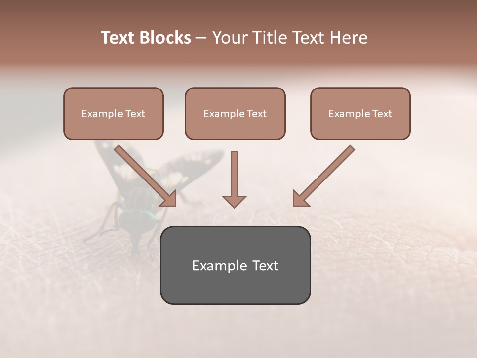 Big Nasty Fly Biting In Human Skin PowerPoint Template