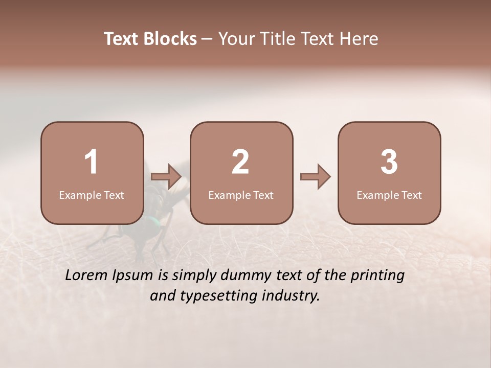 Big Nasty Fly Biting In Human Skin PowerPoint Template
