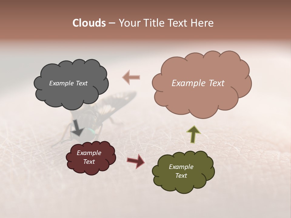 Big Nasty Fly Biting In Human Skin PowerPoint Template