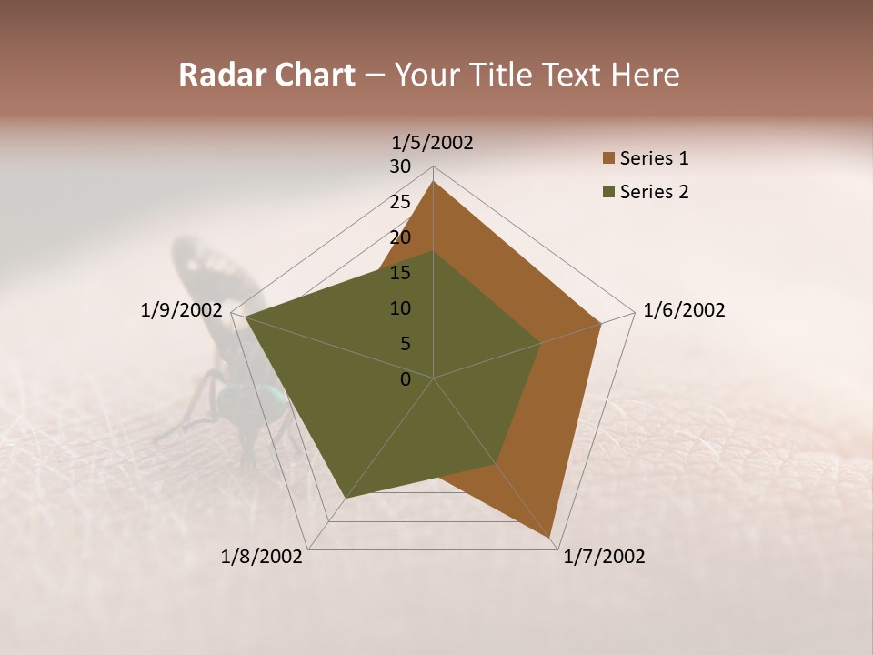 Big Nasty Fly Biting In Human Skin PowerPoint Template