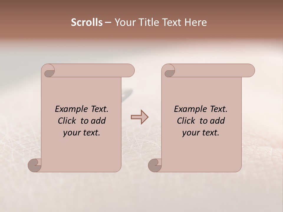 Big Nasty Fly Biting In Human Skin PowerPoint Template