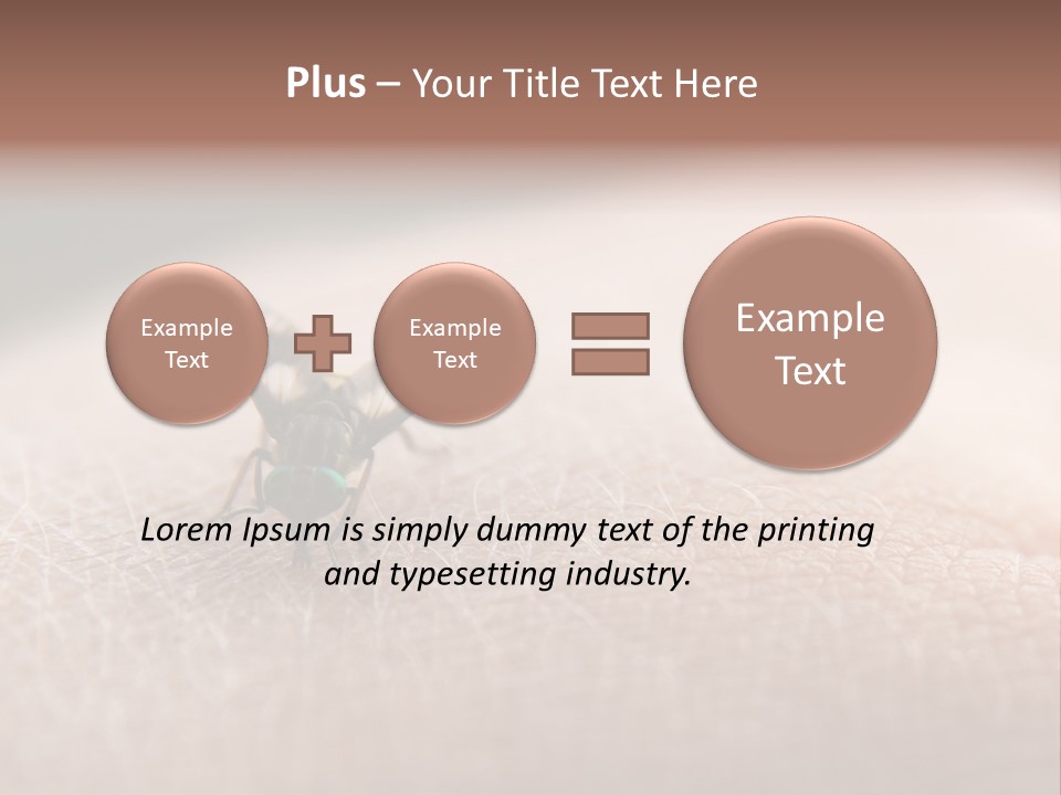 Big Nasty Fly Biting In Human Skin PowerPoint Template
