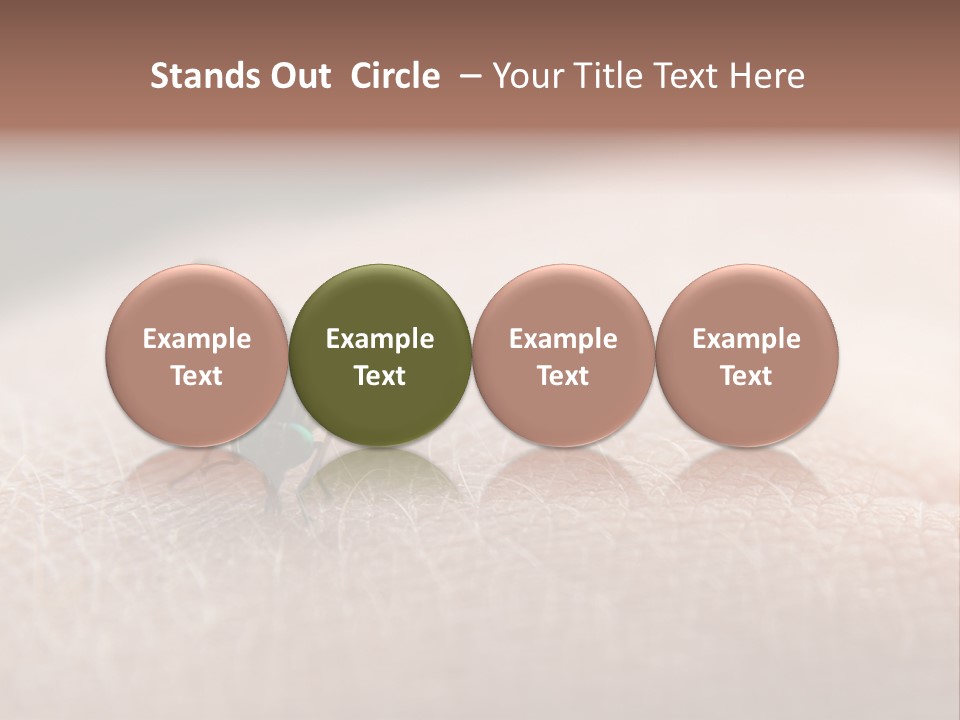 Big Nasty Fly Biting In Human Skin PowerPoint Template