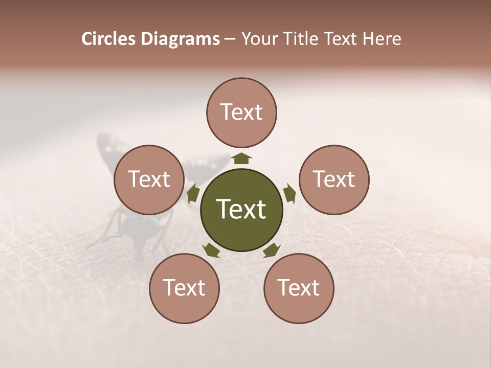 Big Nasty Fly Biting In Human Skin PowerPoint Template