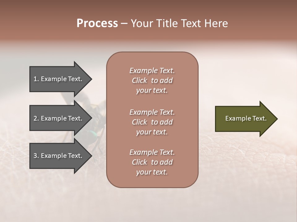 Big Nasty Fly Biting In Human Skin PowerPoint Template