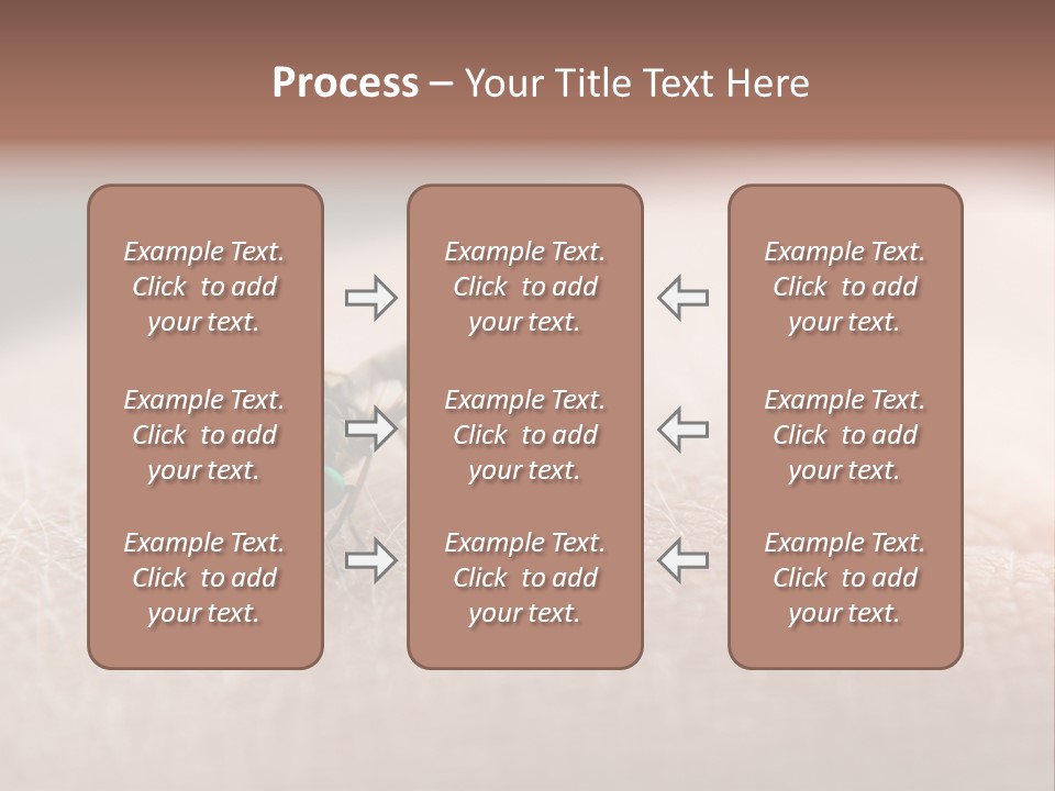 Big Nasty Fly Biting In Human Skin PowerPoint Template