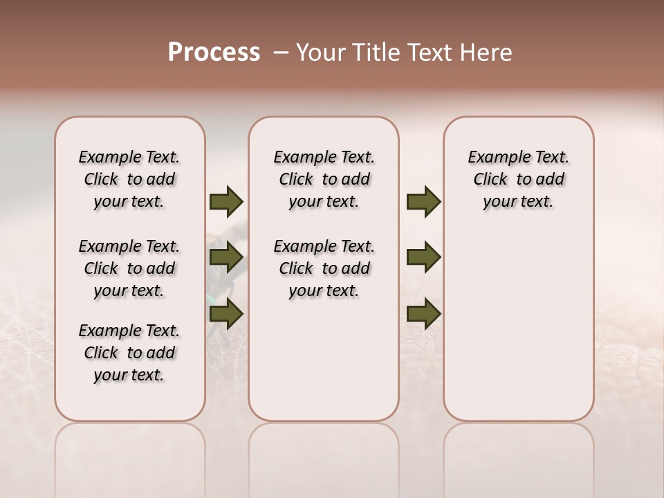 Big Nasty Fly Biting In Human Skin PowerPoint Template