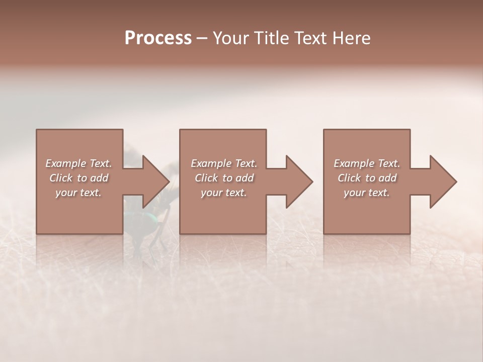 Big Nasty Fly Biting In Human Skin PowerPoint Template