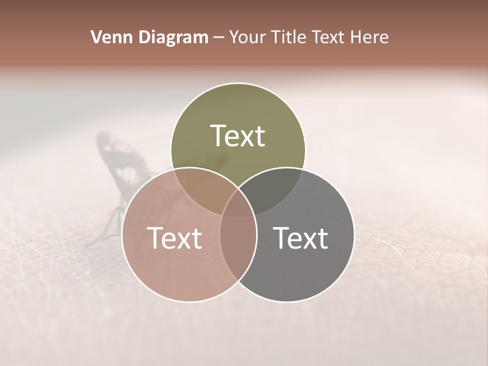 Big Nasty Fly Biting In Human Skin PowerPoint Template