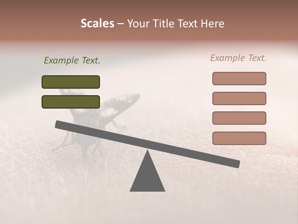 Big Nasty Fly Biting In Human Skin PowerPoint Template