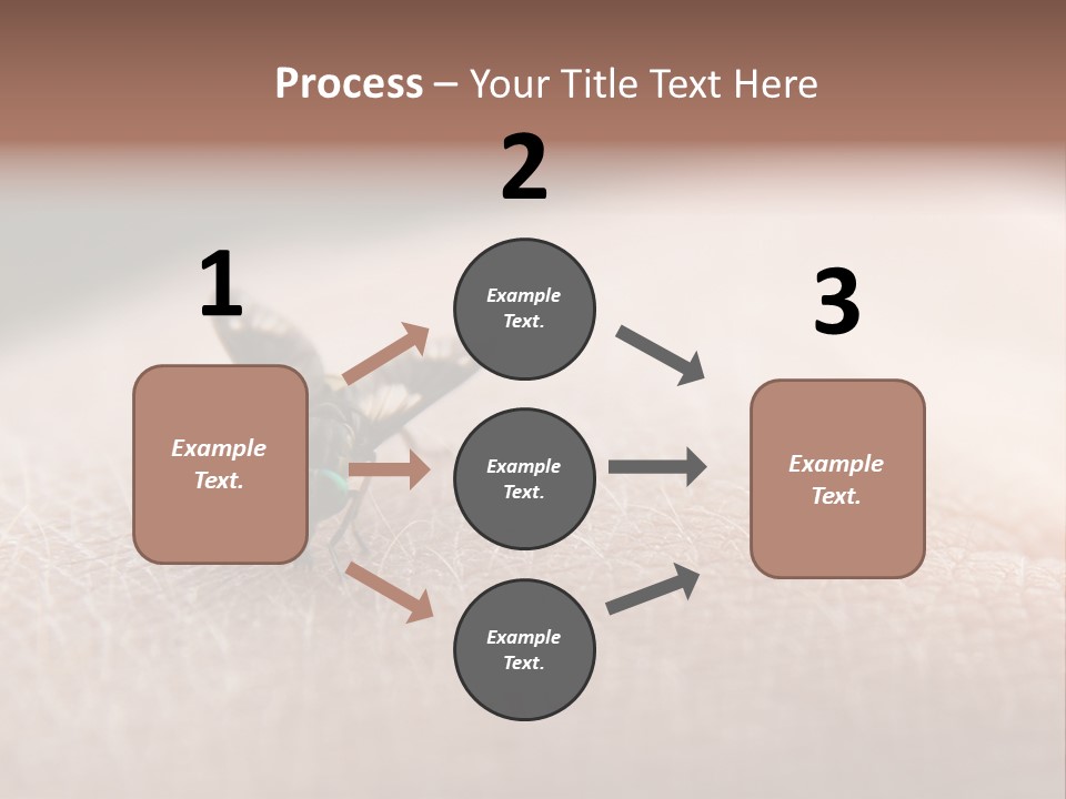 Big Nasty Fly Biting In Human Skin PowerPoint Template
