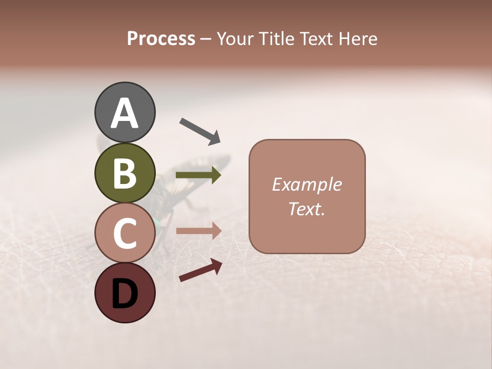 Big Nasty Fly Biting In Human Skin PowerPoint Template