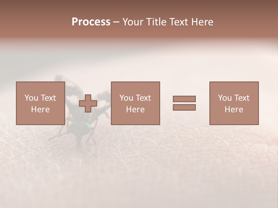 Big Nasty Fly Biting In Human Skin PowerPoint Template