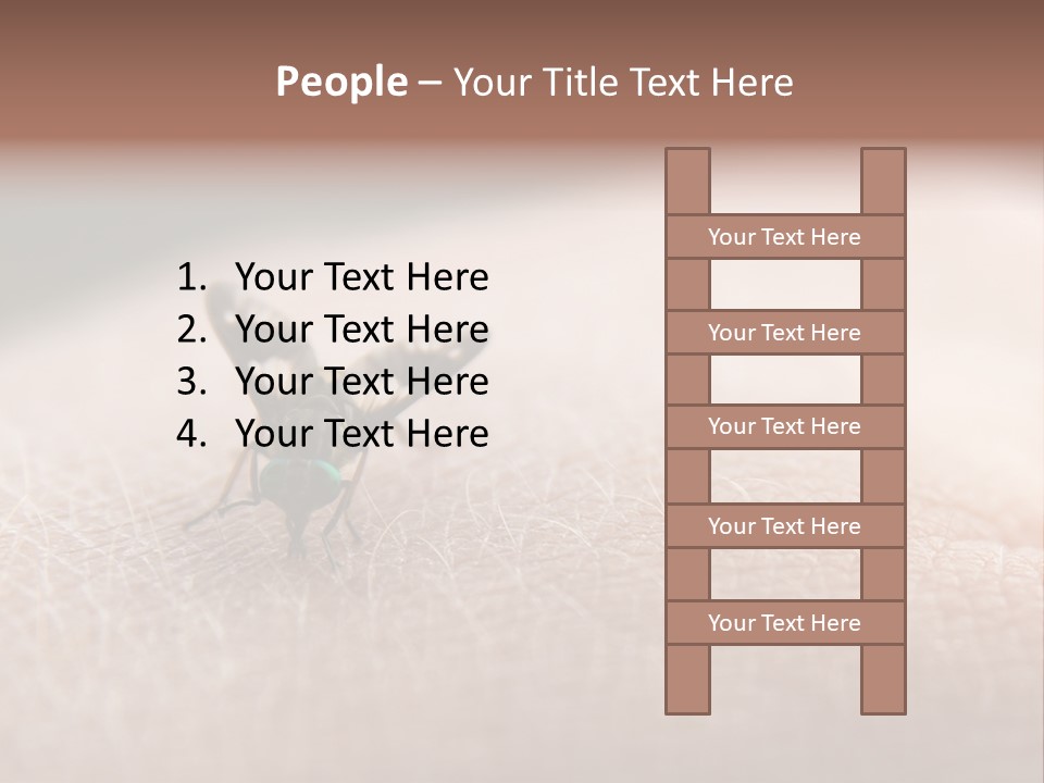 Big Nasty Fly Biting In Human Skin PowerPoint Template