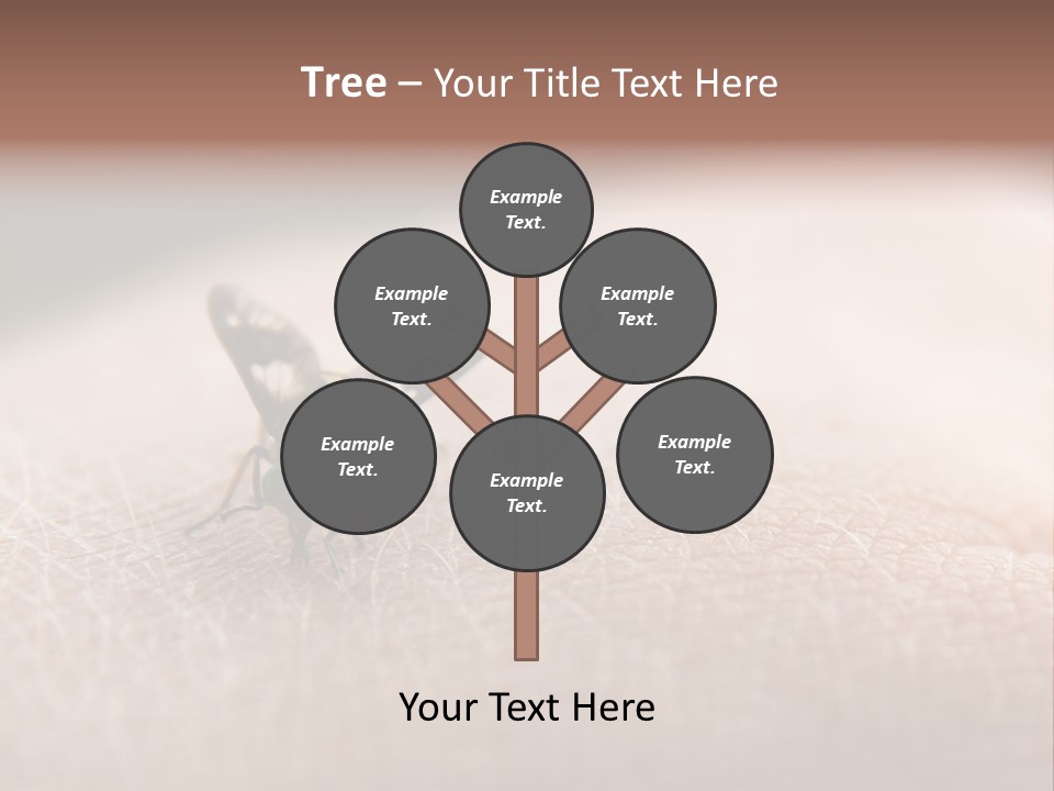 Big Nasty Fly Biting In Human Skin PowerPoint Template