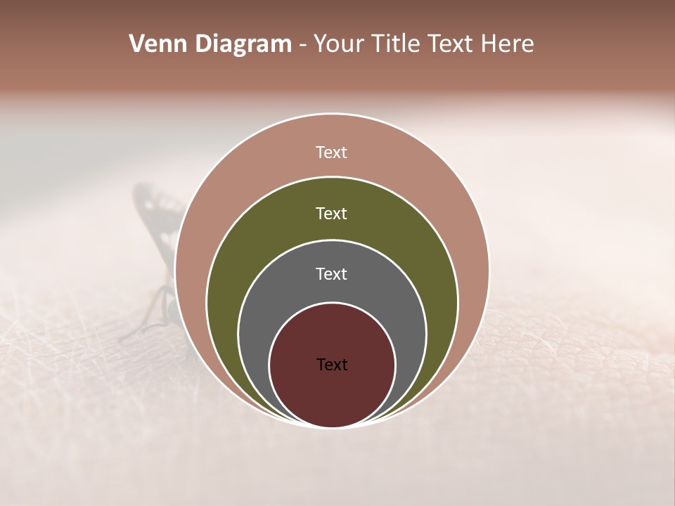 Big Nasty Fly Biting In Human Skin PowerPoint Template