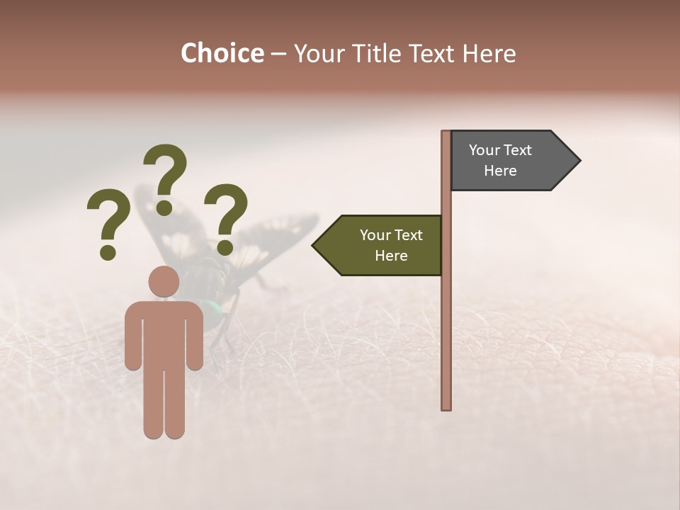 Big Nasty Fly Biting In Human Skin PowerPoint Template