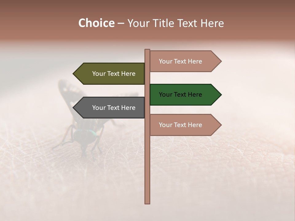 Big Nasty Fly Biting In Human Skin PowerPoint Template