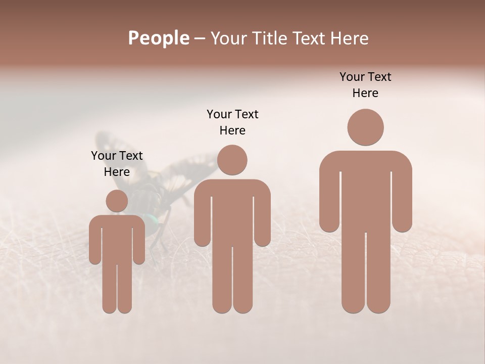 Big Nasty Fly Biting In Human Skin PowerPoint Template