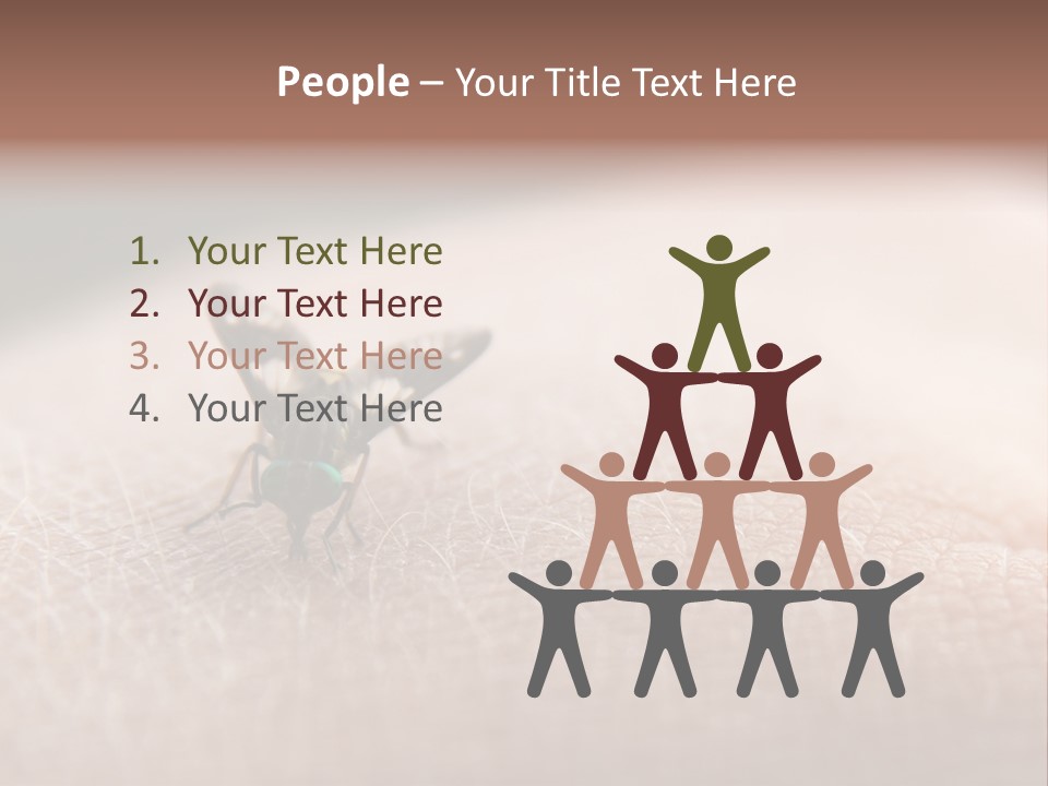 Big Nasty Fly Biting In Human Skin PowerPoint Template