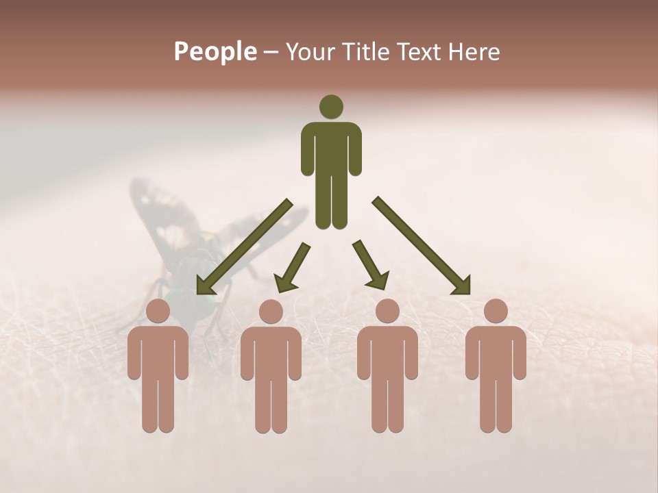 Big Nasty Fly Biting In Human Skin PowerPoint Template