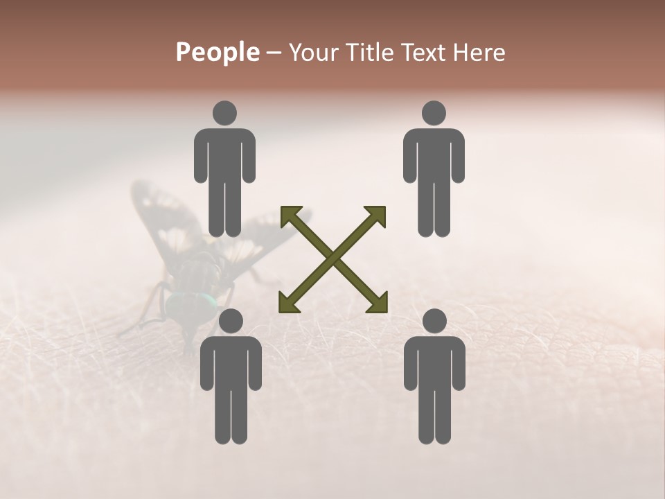 Big Nasty Fly Biting In Human Skin PowerPoint Template