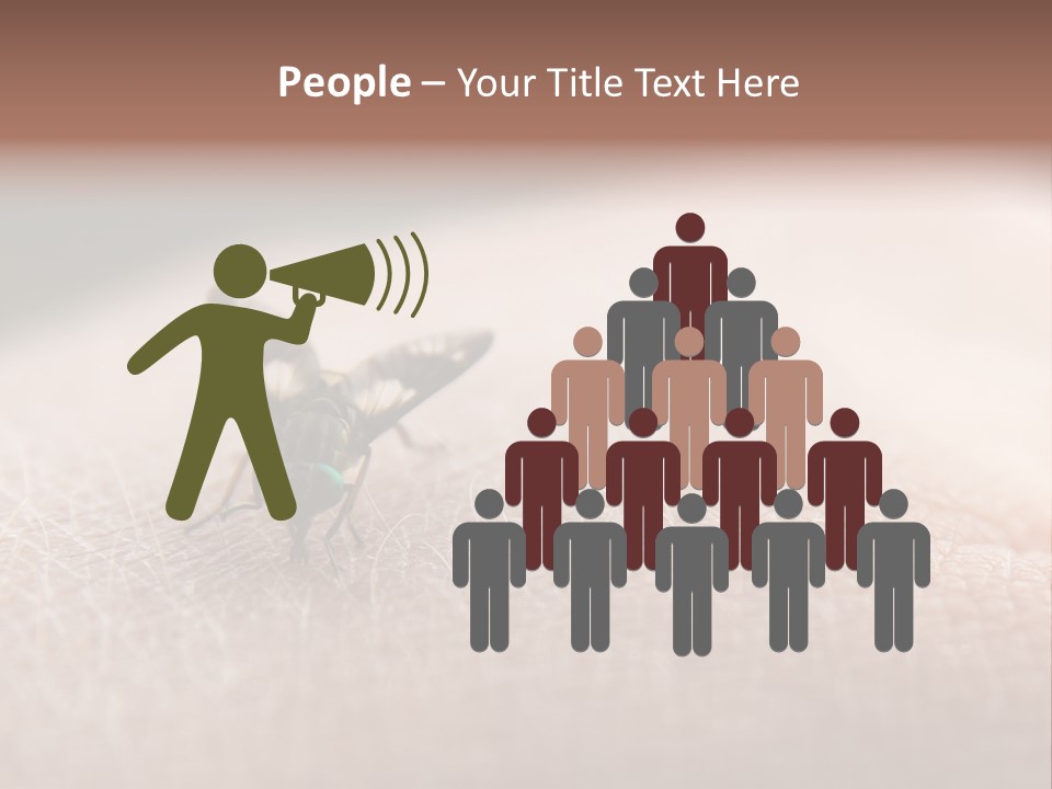 Big Nasty Fly Biting In Human Skin PowerPoint Template