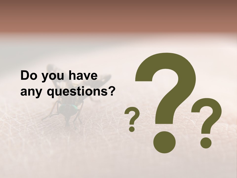 Big Nasty Fly Biting In Human Skin PowerPoint Template