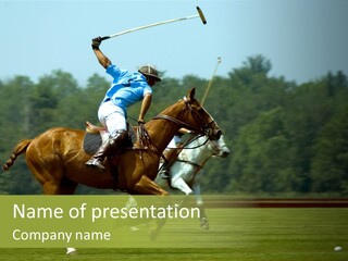Polo PowerPoint Template