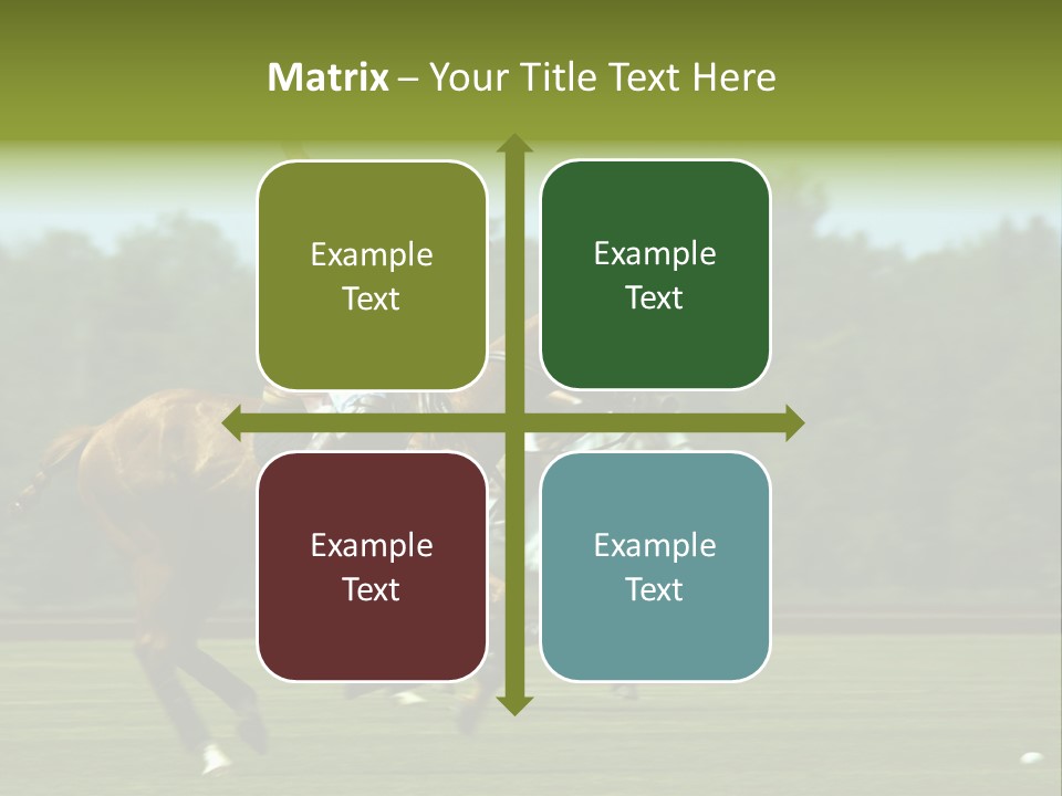 Polo PowerPoint Template