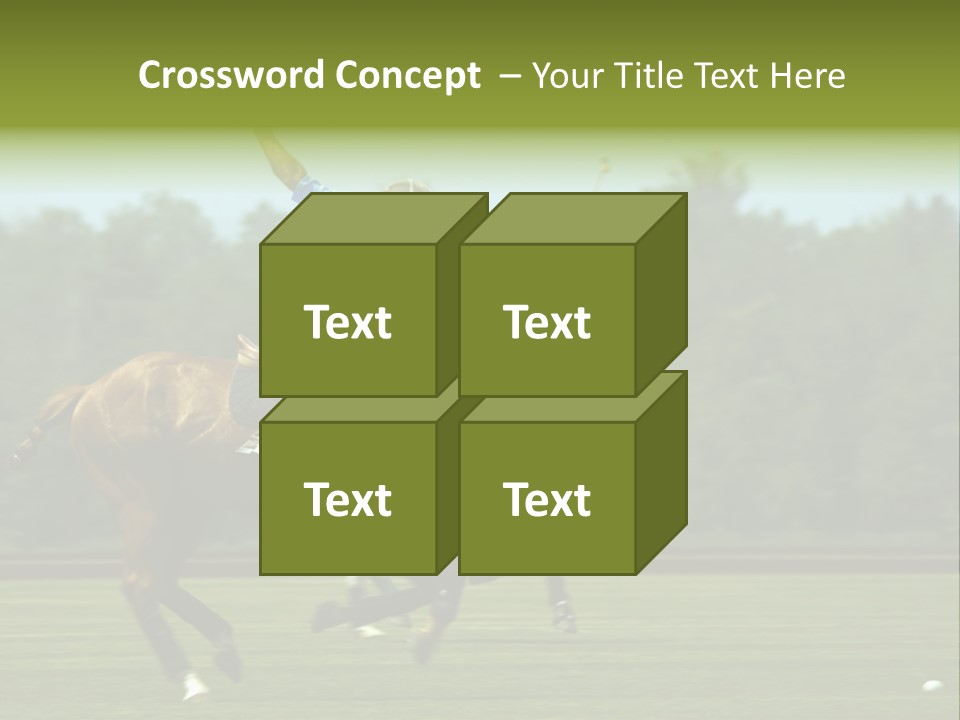 Polo PowerPoint Template