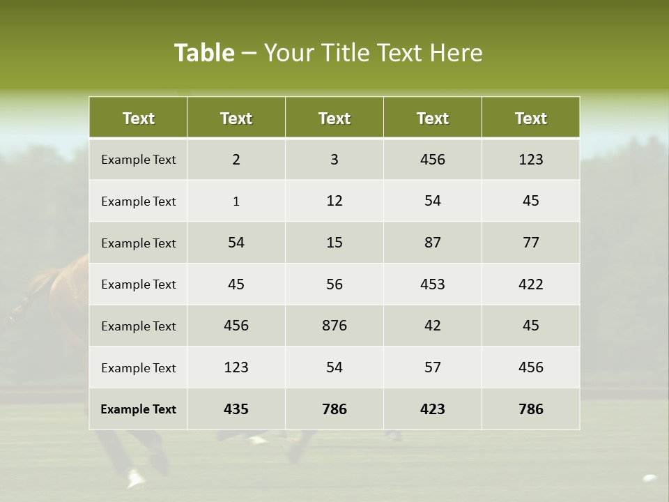 Polo PowerPoint Template
