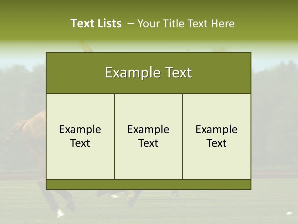 Polo PowerPoint Template