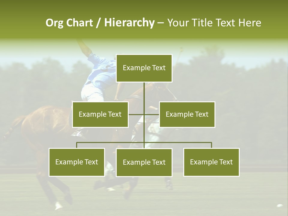 Polo PowerPoint Template