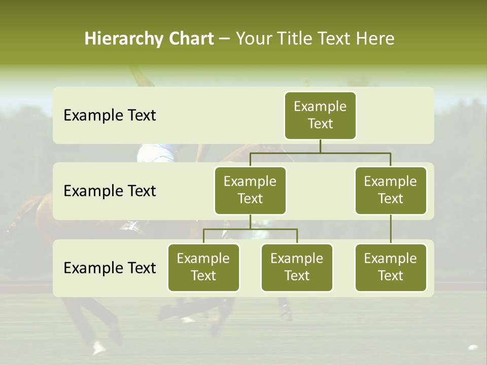 Polo PowerPoint Template
