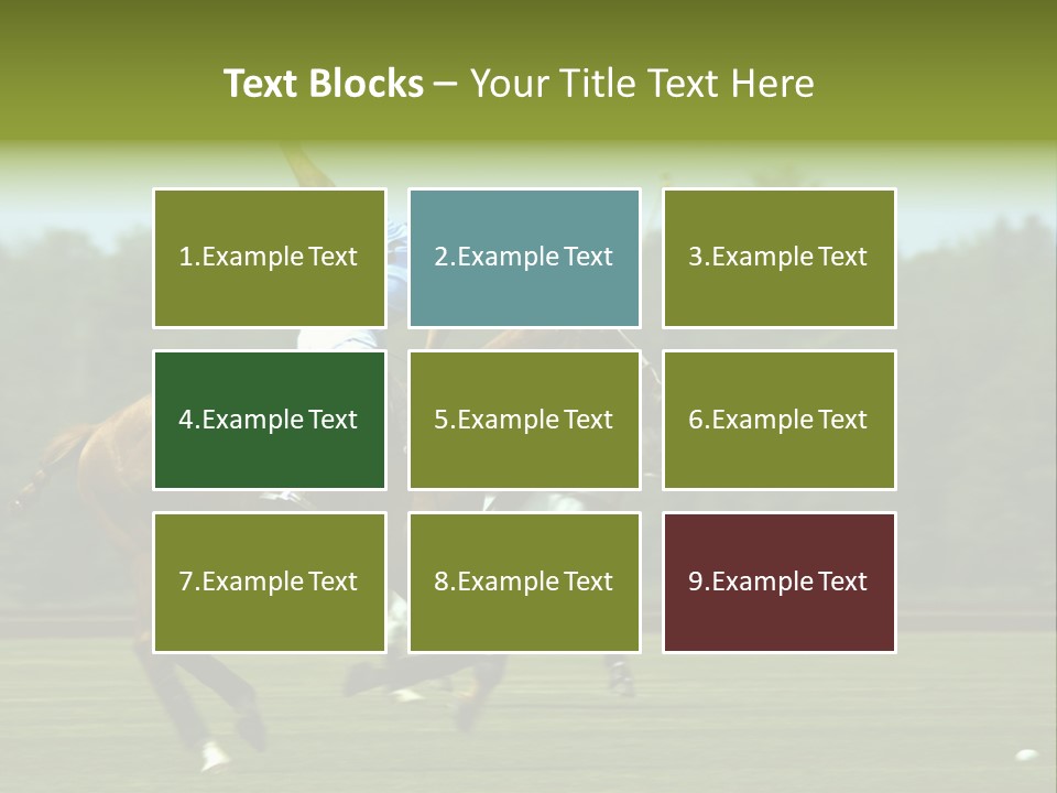 Polo PowerPoint Template