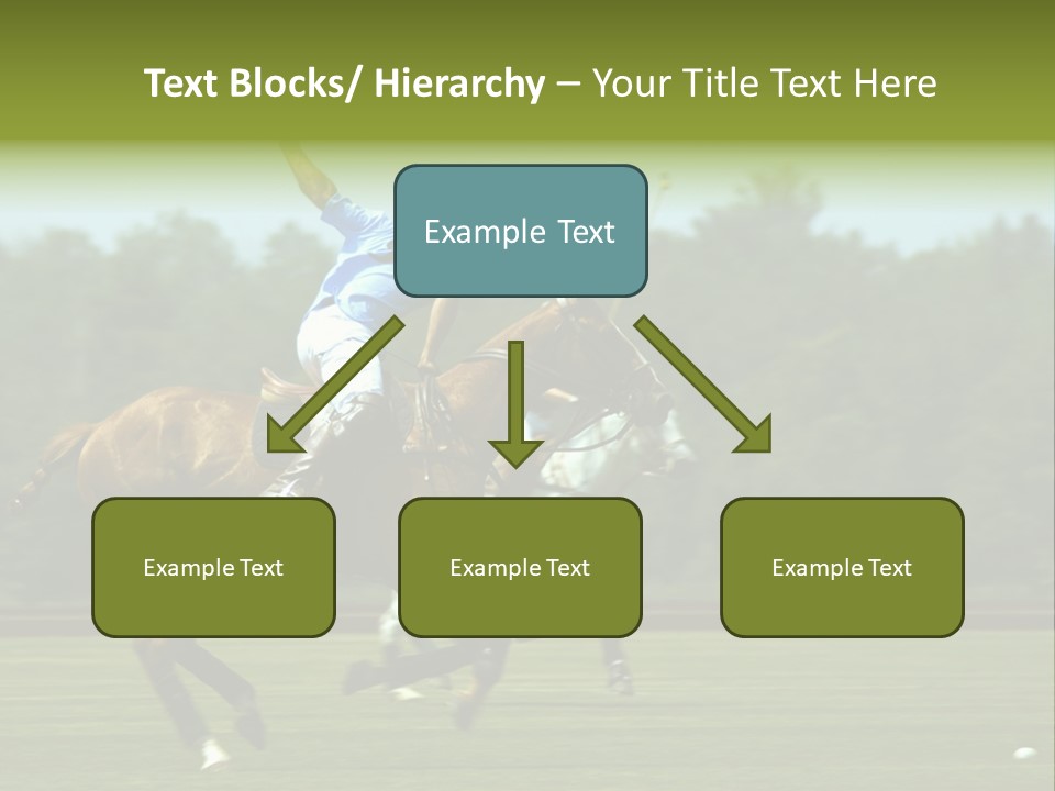 Polo PowerPoint Template