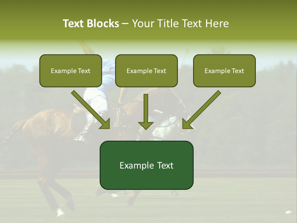 Polo PowerPoint Template