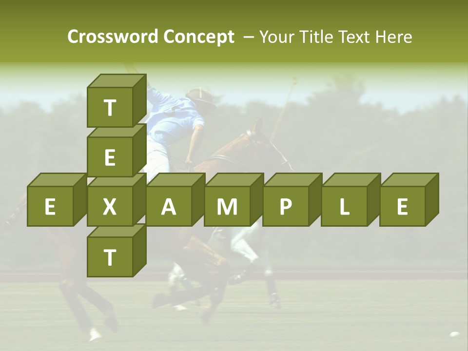 Polo PowerPoint Template